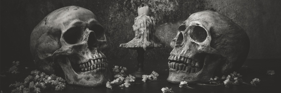 Blog Roundup Double Skulls