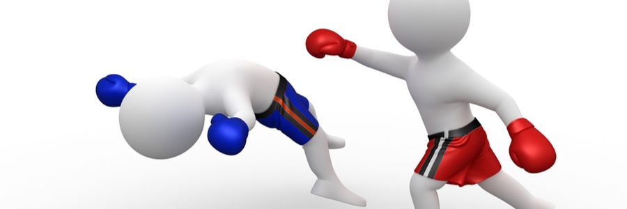 Blog pic boxers 900 x 300 1Aug17