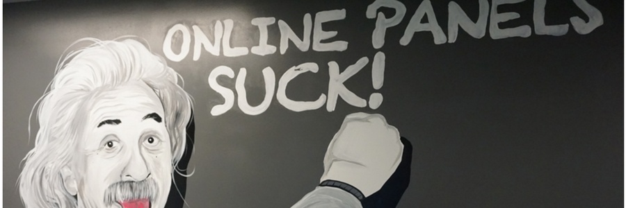 Einstein 2 Online Panels Suck 900 x 300