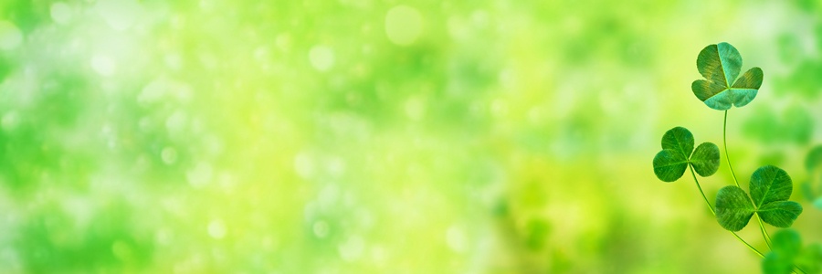 St Patricks Day clover 900x300